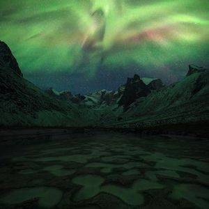 Meet your Posher, Priscilla